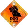 Tabliczka odblaskowa z przyssawkami Dog on Board Orange