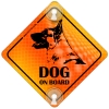 Tabliczka odblaskowa z przyssawkami Dog on Board Orange