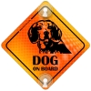 Tabliczka odblaskowa z przyssawkami Dog on Board Orange