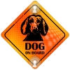 Tabliczka odblaskowa z przyssawkami Dog on Board Orange