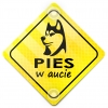 Tabliczka odblaskowa z przyssawkami Pies w aucie Żółty