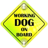 Tabliczka odblaskowa z przyssawkami Working Dog on Board Neon