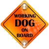 Tabliczka odblaskowa z przyssawkami Working Dog on Board Orange Tabliczka odblaskowa z przyssawkami Working Dog on Board Orange
