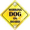 Tabliczka odblaskowa z przyssawkami Working Dog on Board Żółty Tabliczka odblaskowa z przyssawkami Working Dog on Board Żółty