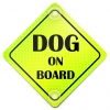 Tabliczka z przyssawkami Dog on Board Neon