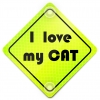 Tabliczka z przyssawkami I love my Cat Neon