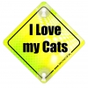 Tabliczka odblaskowa z przyssawkami I love my Cats Neon
