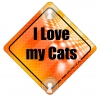 Tabliczka odblaskowa z przyssawkami I love my Cats Orange