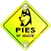 Tabliczka odblaskowa z przyssawkami Pies w aucie Neon