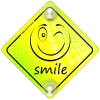 Tabliczka odblaskowa z przyssawkami Smile Neon