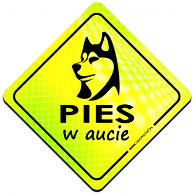 Magnes Odblaskowy Pies w aucie Neon