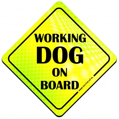 Magnes Odblaskowy Working Dog on board Neon