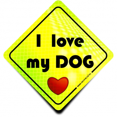 Naklejka Odblaskowa / Sticker Dog on Board Neon