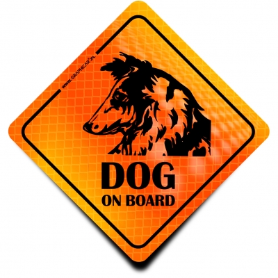 Naklejka Odblaskowa / Sticker Dog on Board Orange