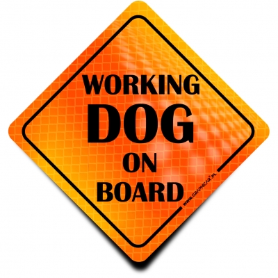 Naklejka Odblaskowa / Sticker Working Dog on board Orange