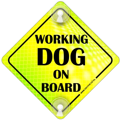 Tabliczka odblaskowa z przyssawkami Working Dog on Board Neon