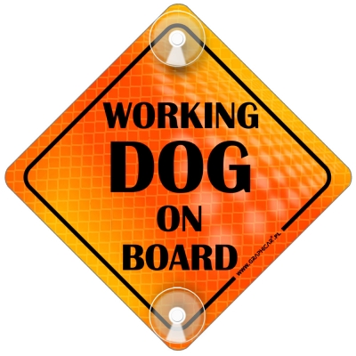 Tabliczka odblaskowa z przyssawkami Working Dog on Board Orange