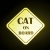 Magnes Odblaskowy Cat on board Neon