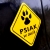 Naklejka Odblaskowa / Sticker Psiak w aucie Żółty