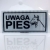 Tabliczka Informacyjna Odblaskowa UWAGA PIES 12X24CM