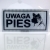 Tabliczka Informacyjna Odblaskowa UWAGA PIES 12X24CM