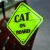 Tabliczka odblaskowa z przyssawkami Cat on Board Neon