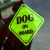 Tabliczka odblaskowa z przyssawkami Dog on Board Neon