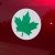 ZIELONY LISTEK MŁODEGO KIEROWCY MAGNES MOCNY